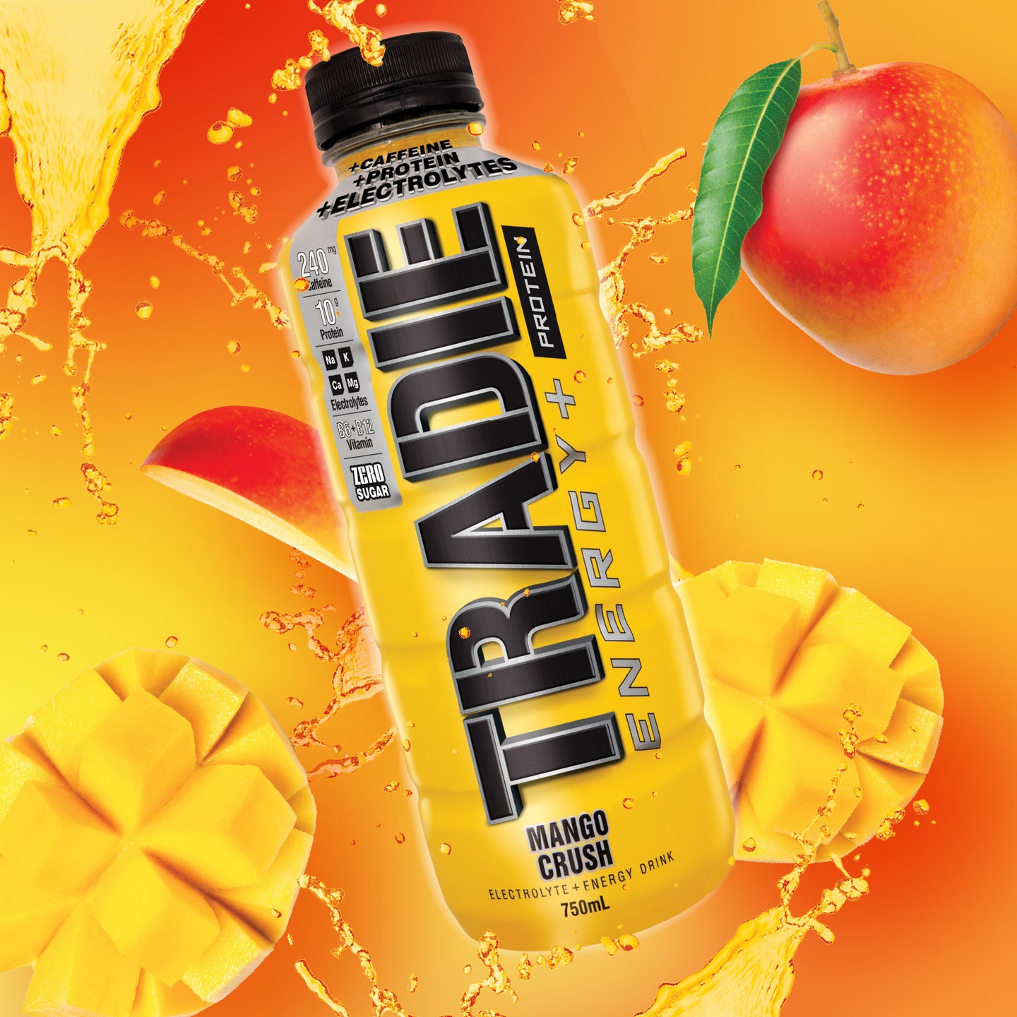 Sports Protein Drink 750mL 12 Pack