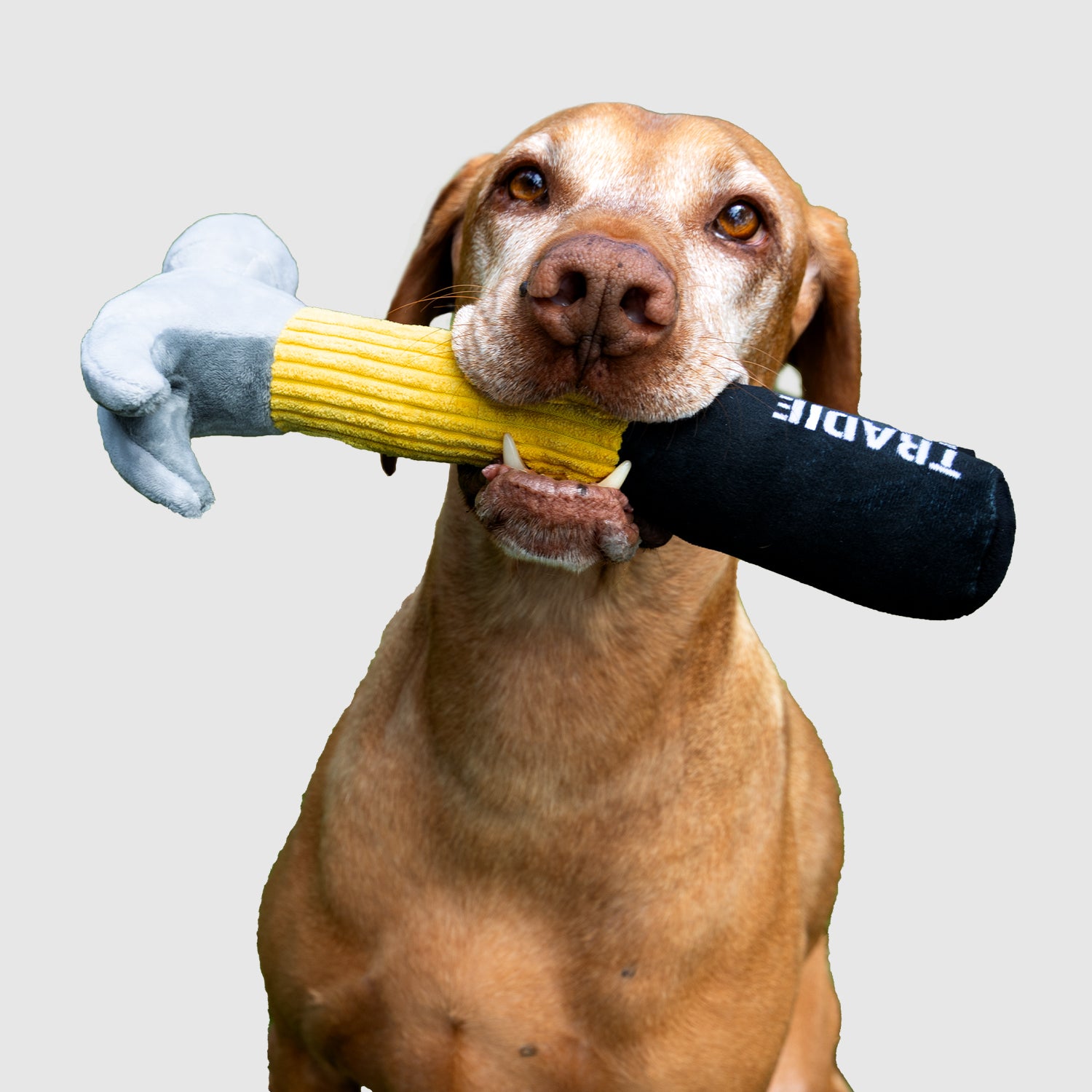 TRADIE Hammer Dog Toy